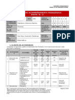 Plan de Acompañamiento Yola