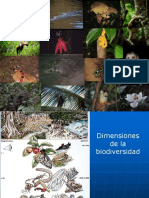 Biodiversidad PDF