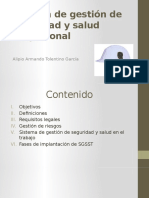 Sistema de Gestión de Seguridad y Salud Ocupacional Fiia