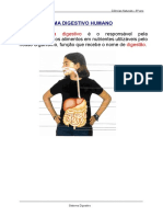 Sistema Digestivo 6º CN