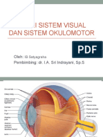 Anatomi Sistem Visual