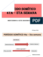 Clase 15. Periodo Somitico 4ta-5ta Semana