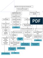 Pathway Appendisitis