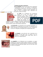 Enfermedades Del Sistema Respiratorio, Mas Proyectos Reciclados