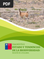 Biodiversidad Atacama Chile