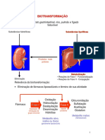 Metabolism o