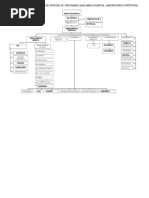 Organigrama Estructural