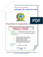 Manual de Lixiviación