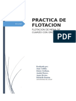 Informe Practica Flotacion