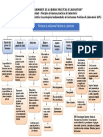 Mapa Mental Principios Las BPL