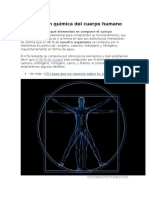 Composición Química Del Cuerpo Humano