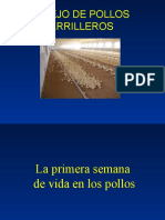 Manejo de Pollos Parrilleros