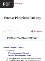 Pentose Phosphate Pathway: Molecular Biochemistry II