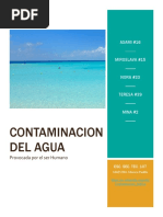 Contaminacion Del Agua.