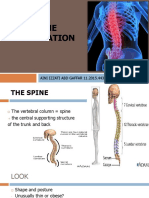 Spine Examination