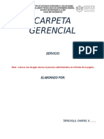 Carpeta Gerencial+2017