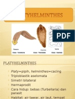 Platyhelminthes Nemathelminthes