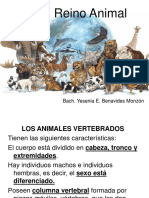 Animales Vertebrados para 1ro