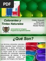 Colorantes y Tintes Naturales (Copia en Conflicto de Fidelina Canabal Colon 2013-10-01)