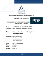 Sistema Carcelario en El Peru y America Latina