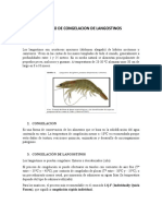 PROCESO DE CONGELACION DE LANGOSTINOS Word