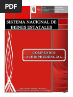 Jurisprudencia en Saneamiento Físico Estatal, SBN