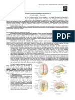 NEUROANATOMIA 13 - Anatomia Macroscópia Do Telencéfalo (2012) PDF