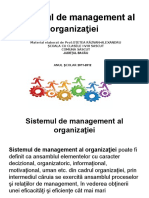 Sistemul de Management Al Organizatiei