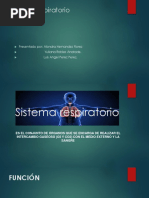 Sistema Respiratorio para Respirar Todo Lo Respirable. TODO CABE POR LA NARIZ