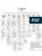 Mapa Conceptual BPL