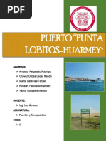 Informe de Puerto de Huarmey