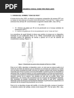 Auscultacion Dinamica Con El Cono Tipo Peck VFFF