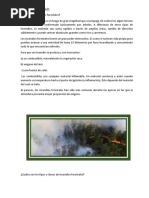 Incendios Forestales