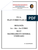 PDF Documento