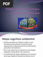 Elaboracion de Un Mapa Cognitivo