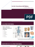 Anatomia Columna Vertebral