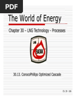 30M - ConocoPhillips Optimized Cascade PDF