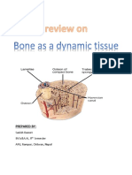 Bones As A Living Dynamic Tissue