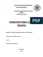 Biomagnetismo 