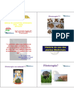 Fitoterapia Chinesa Introd Slides PDF