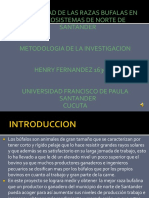 Bufalos Metodologia Ante Proyecto