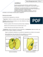 Bases Bioagropecuarias - Semilla 2017