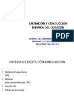 Sistema de Excitación - Conducccion