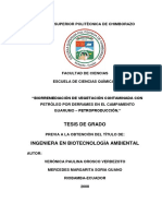 Biorremediaciòn de Vegetaciòn Contaminada Con Petròleo Por Derrames en El Campamento Guarumo - Petroproducciòn.