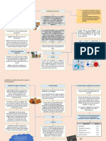 MAPAS Bromatología