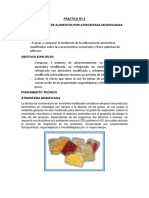 Objetivos, Materiales y Fundamento Teorico Atmosferas Modificadas