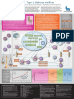 Type 1 Diabetes Mellitus POSTER PDF