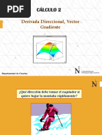 12 - Derivada Direccional