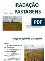 Degradação Das Pastagens