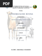 Actinobacilosis Bovina